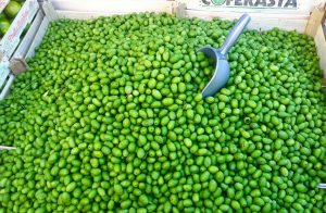 Green olives at the market in Pescara, Abruzzo Italy Food Tours